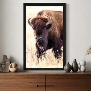 "Resilience" Bison Wall Art